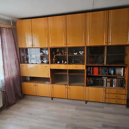 Skolas 55 Apartment *